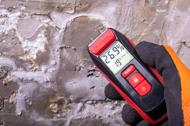 Best Fast Mold Removal  in Roslyn, PA