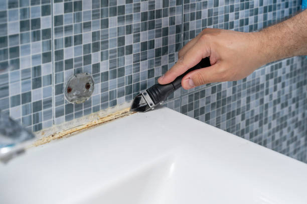 Best Professional Mold Removal  in Roslyn, PA